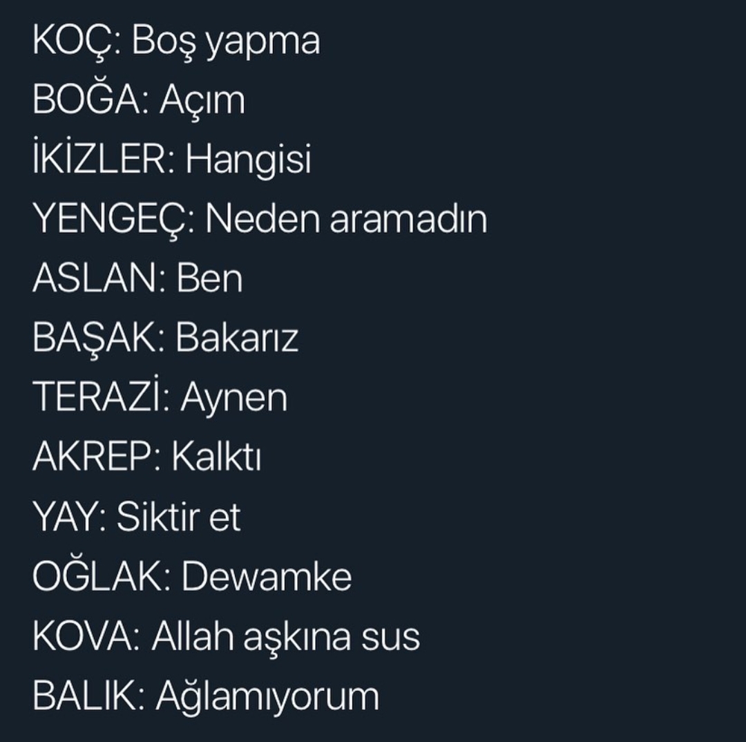 12 burcun en sık kullandığı kelimeler