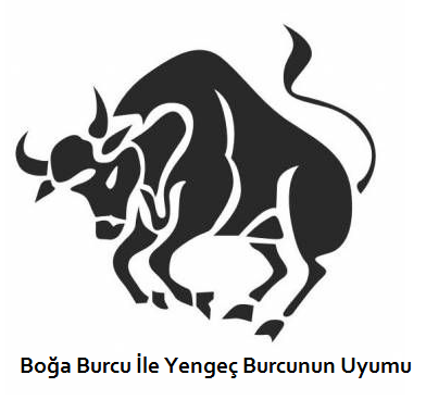 Boğa burcu kadınının uyumlu olduğu burçlar